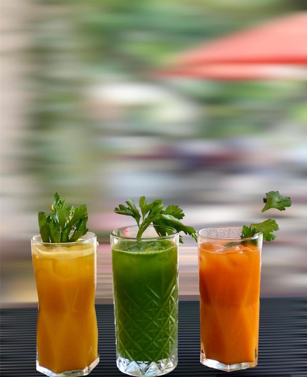 Finca Garullo Hotel Boutique San Rafael  エクステリア 写真